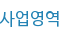 사업영역